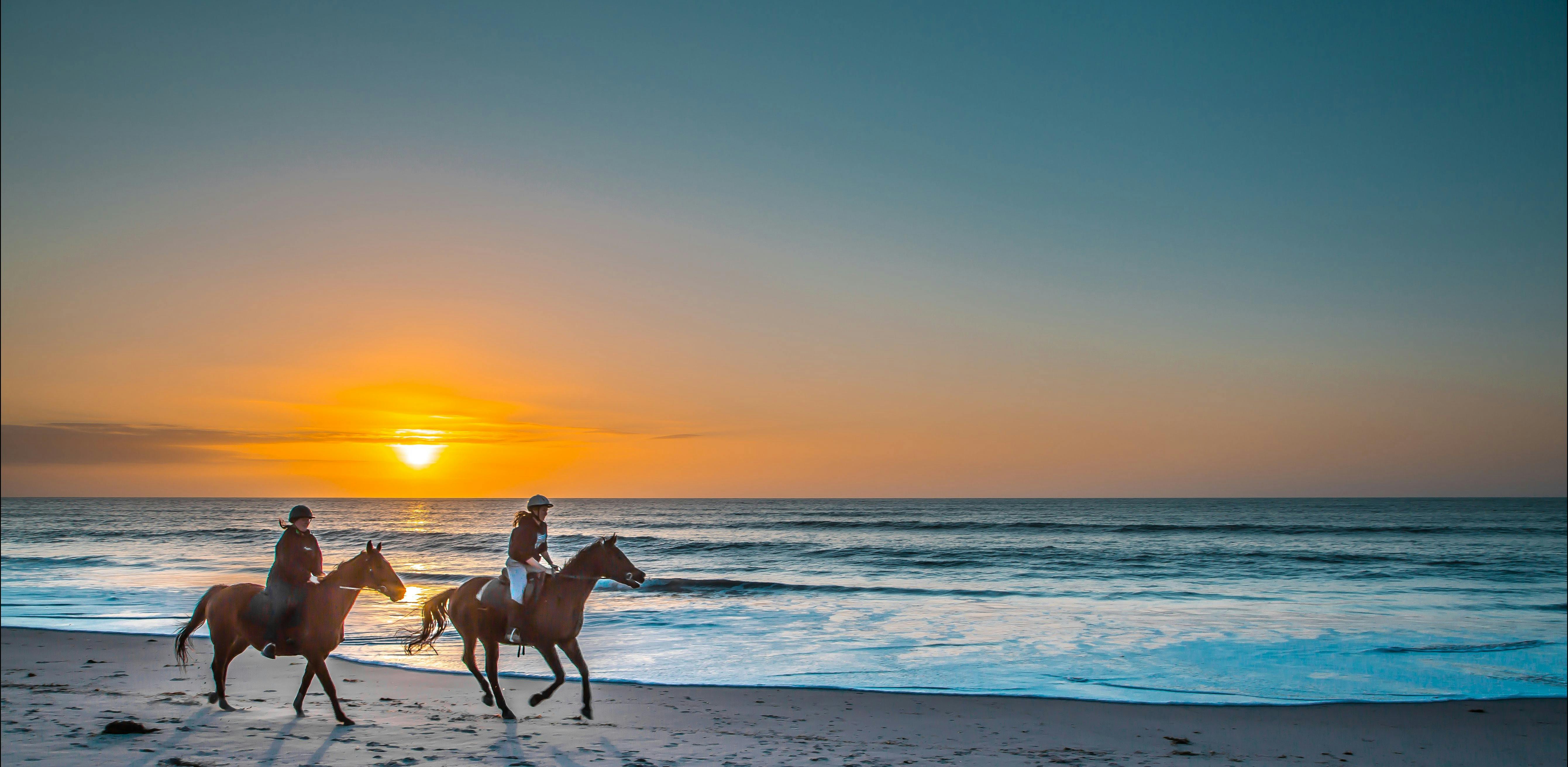 Horse riding on the beach south australia