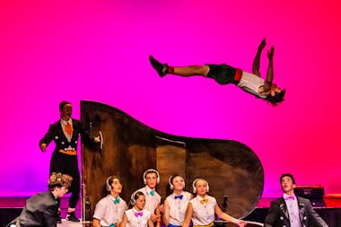 Tempo - Flying Fruit Fly Circus