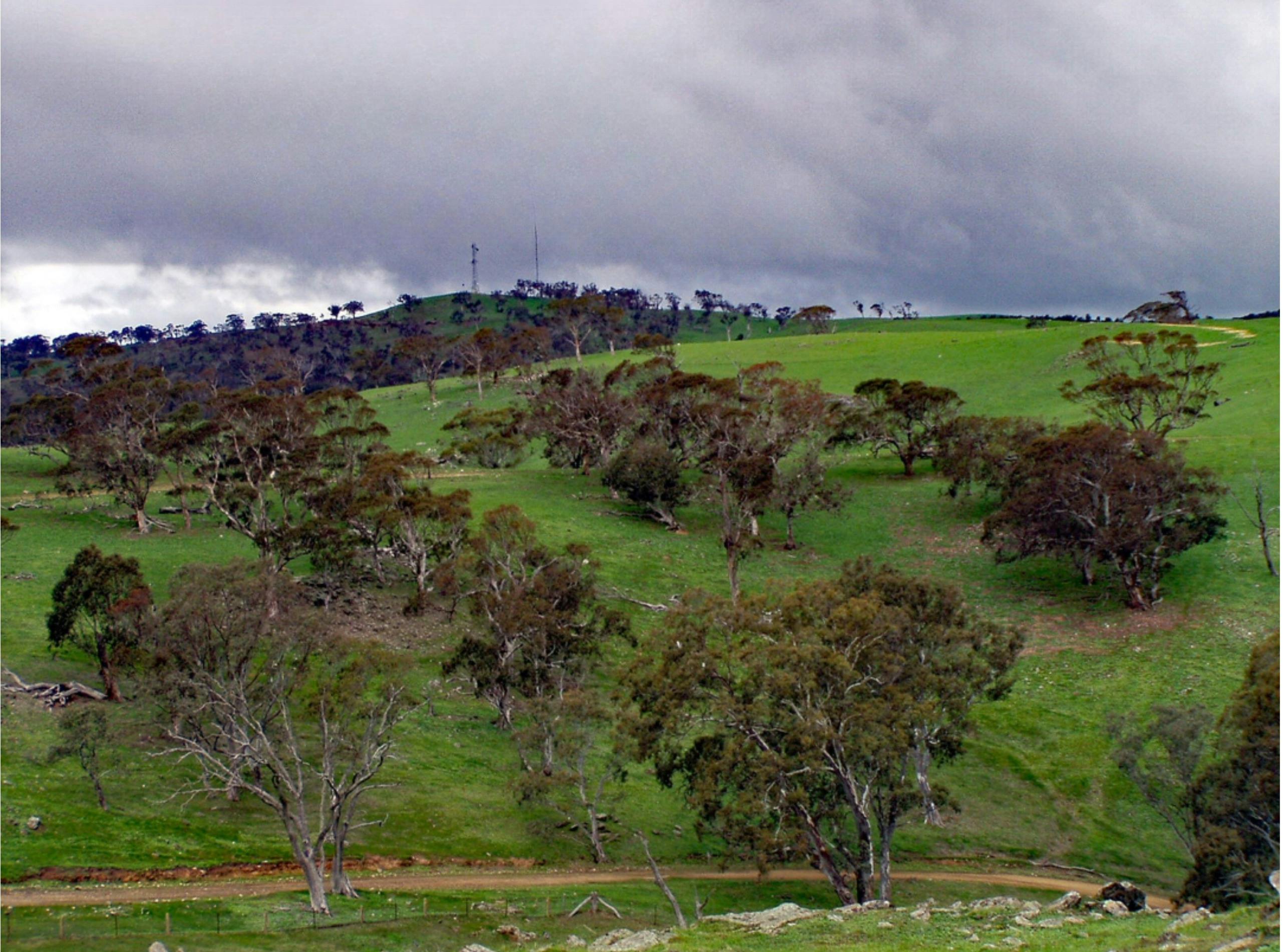 Mount Beevor to Springton