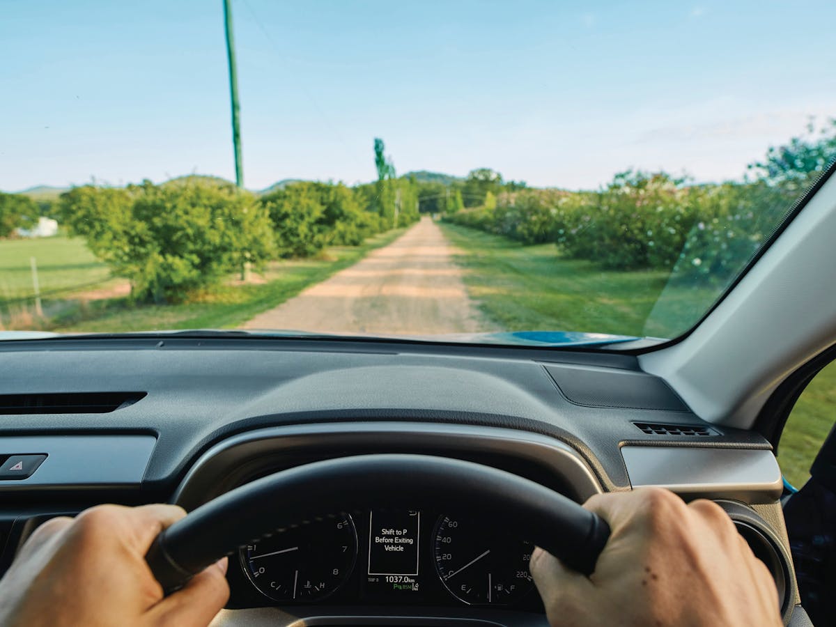 Tourist driving in a vineyard