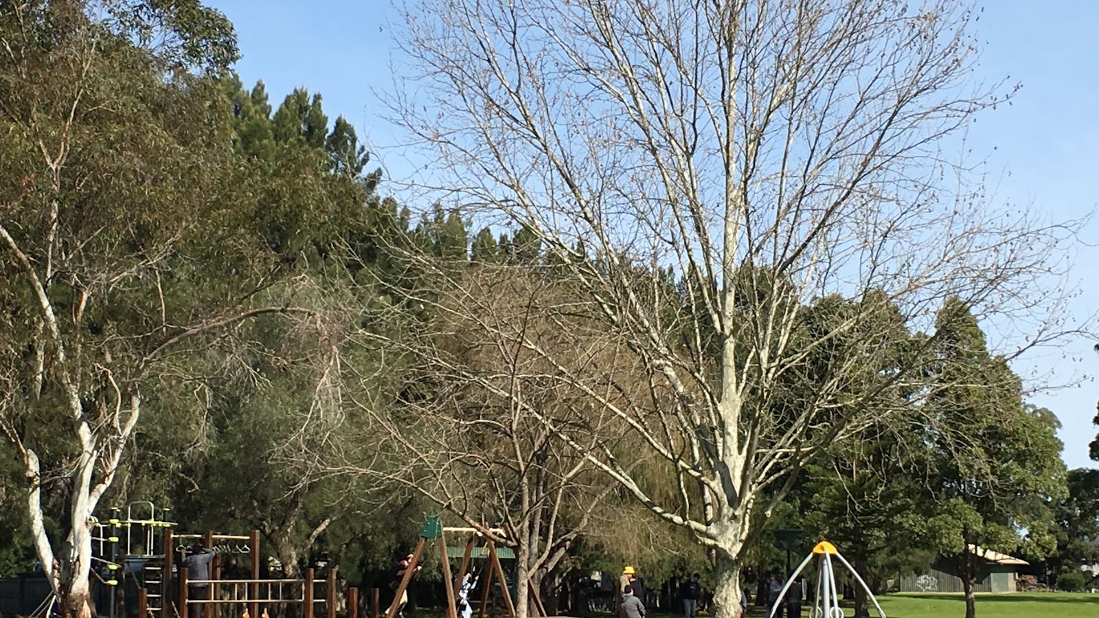 Curry Reserve