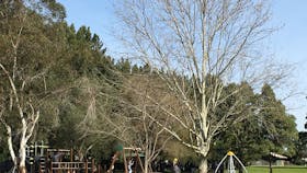 Curry Reserve