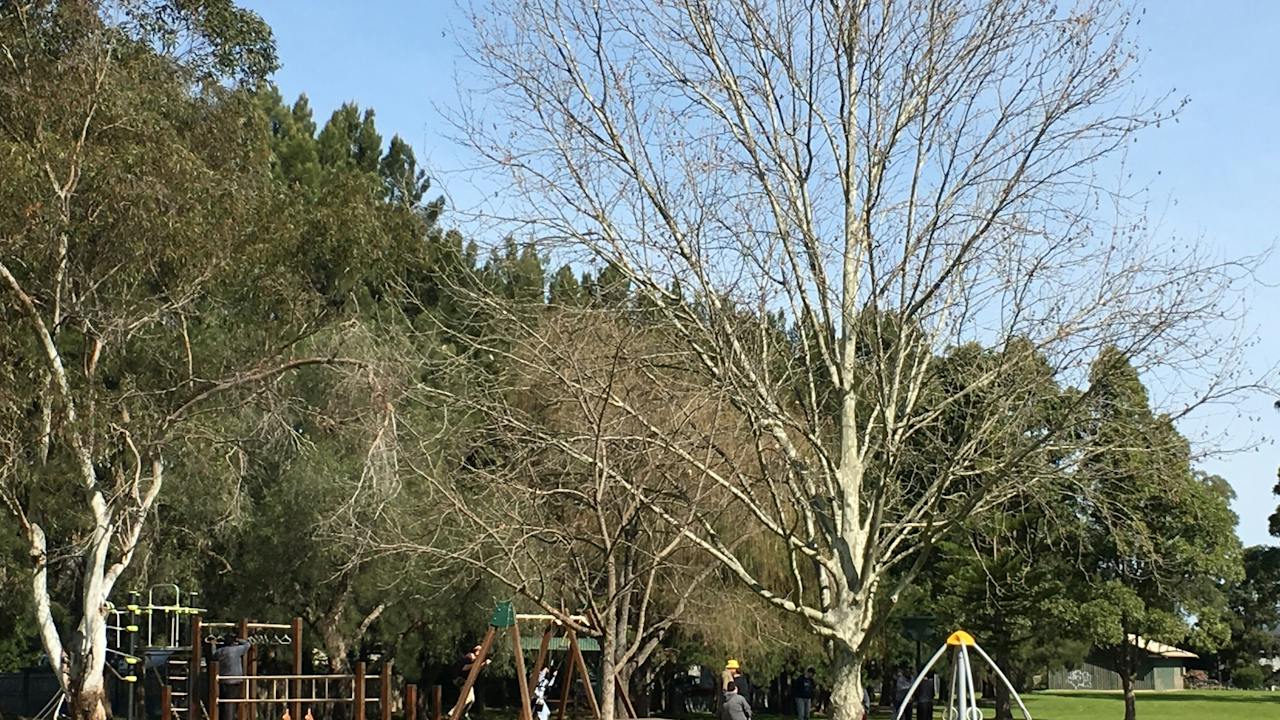 Curry Reserve