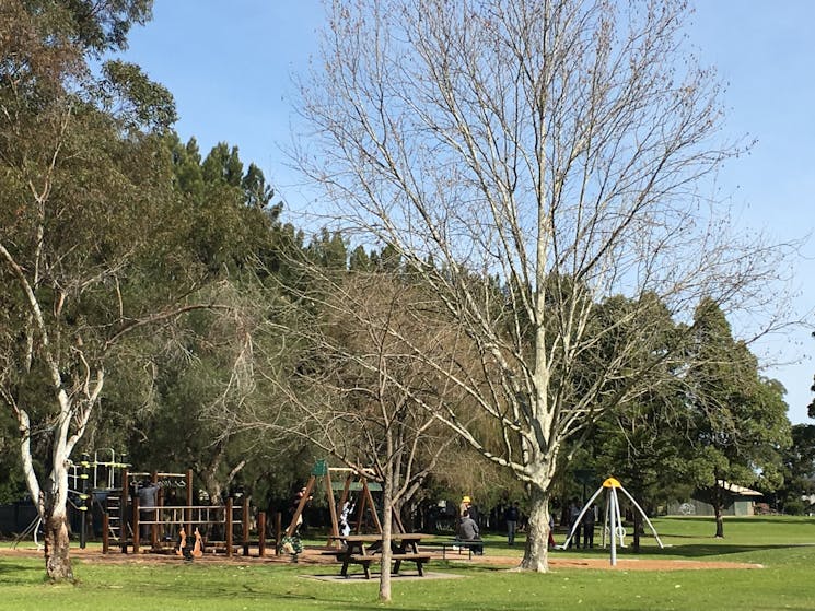 The playground at Curry reserve is a popular destination with tourists and locals.