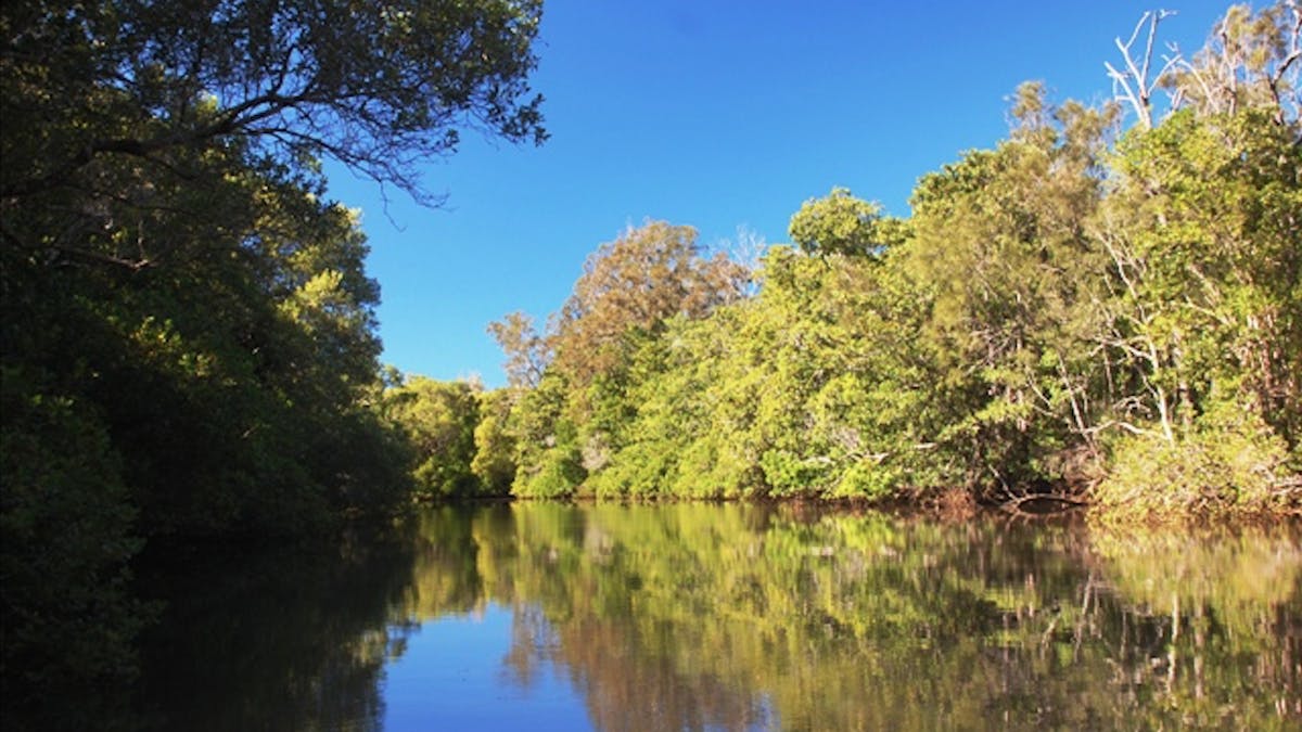 Mooloolah River Mooloolah River