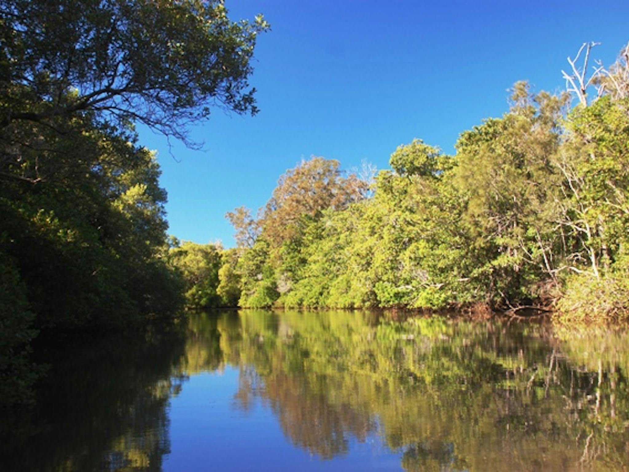 Mooloolah River Mooloolah River