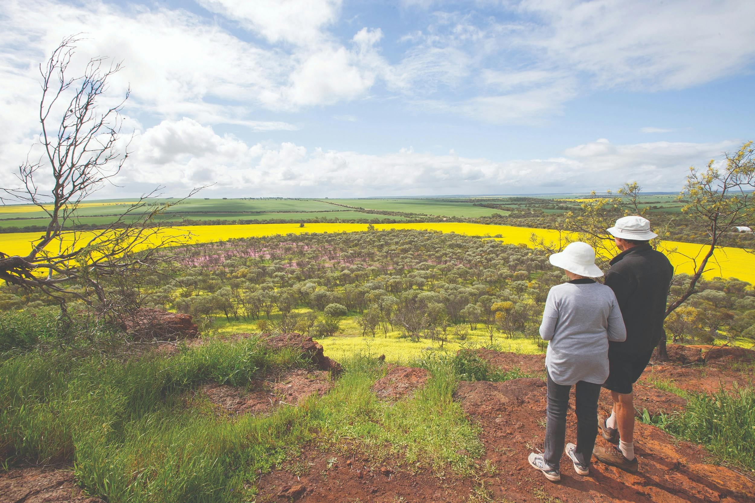 Coalseam