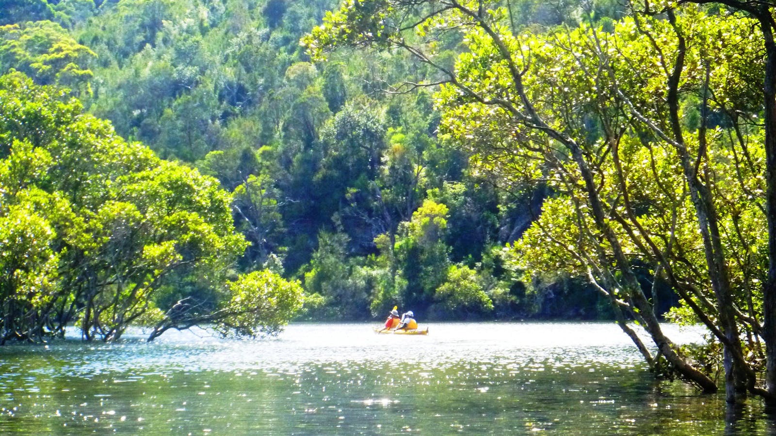 Sydney Harbour Kayaks
