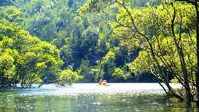 Kayak Eco Tours