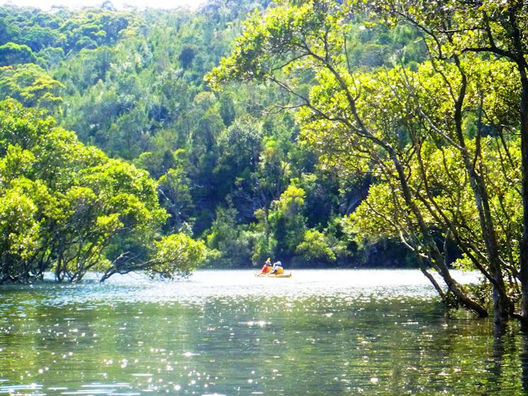 Kayak Eco Tours