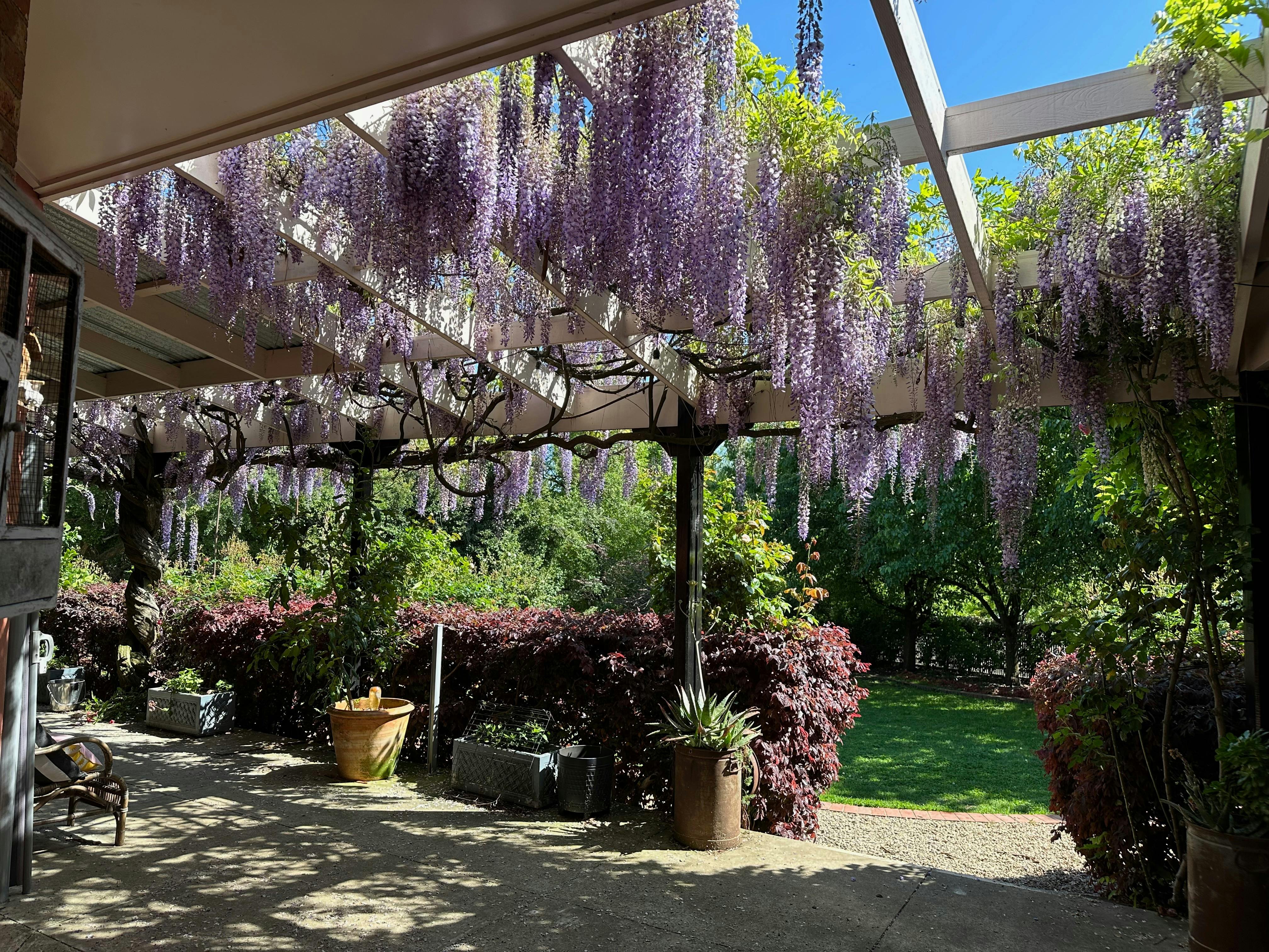 Garden October with many colourful plants