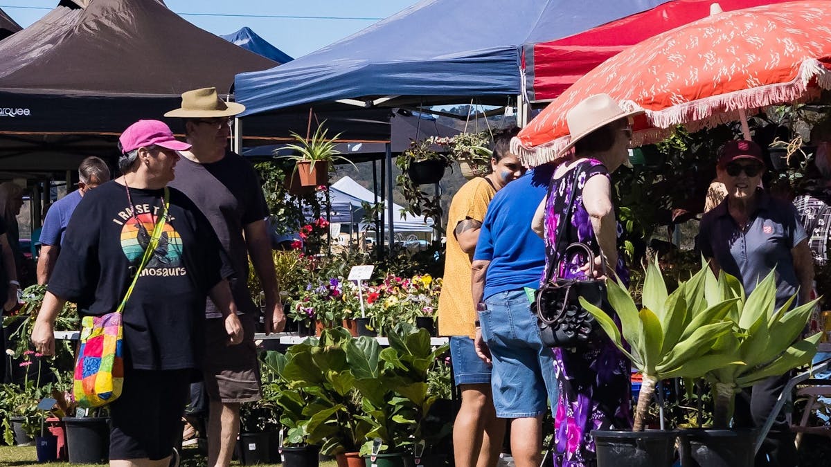 People standing near plant stall