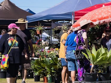 People standing near plant stall