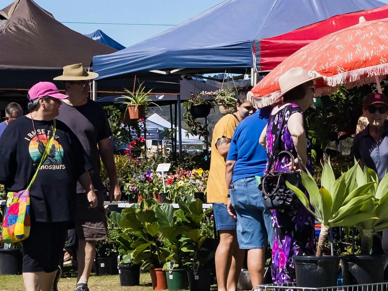 People standing near plant stall People standing near plant stall
