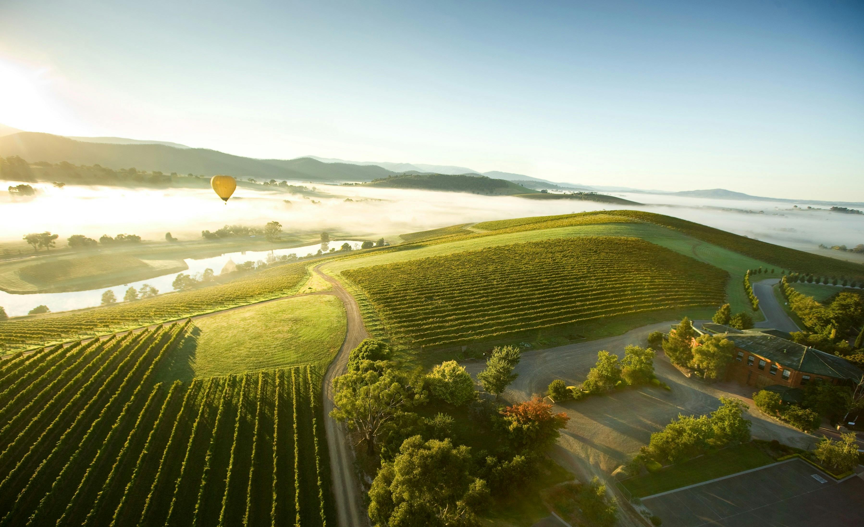 De Bortoli Vineyard, Yarra Valley