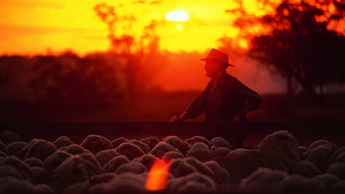 Farming, Jondaryan