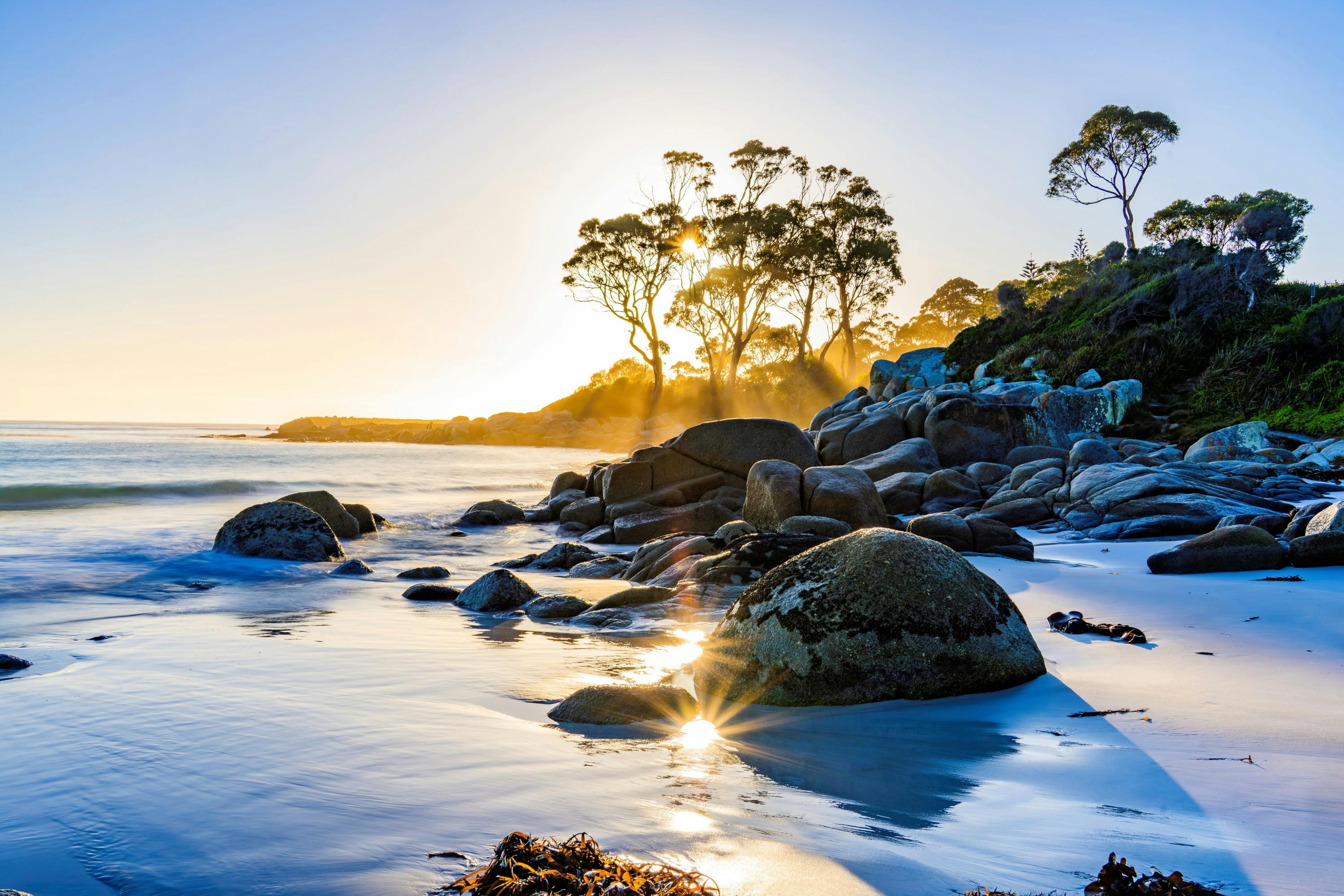 Glowing Sunstars reflect in water pools on the beach at Binalong Bay, Tasmania