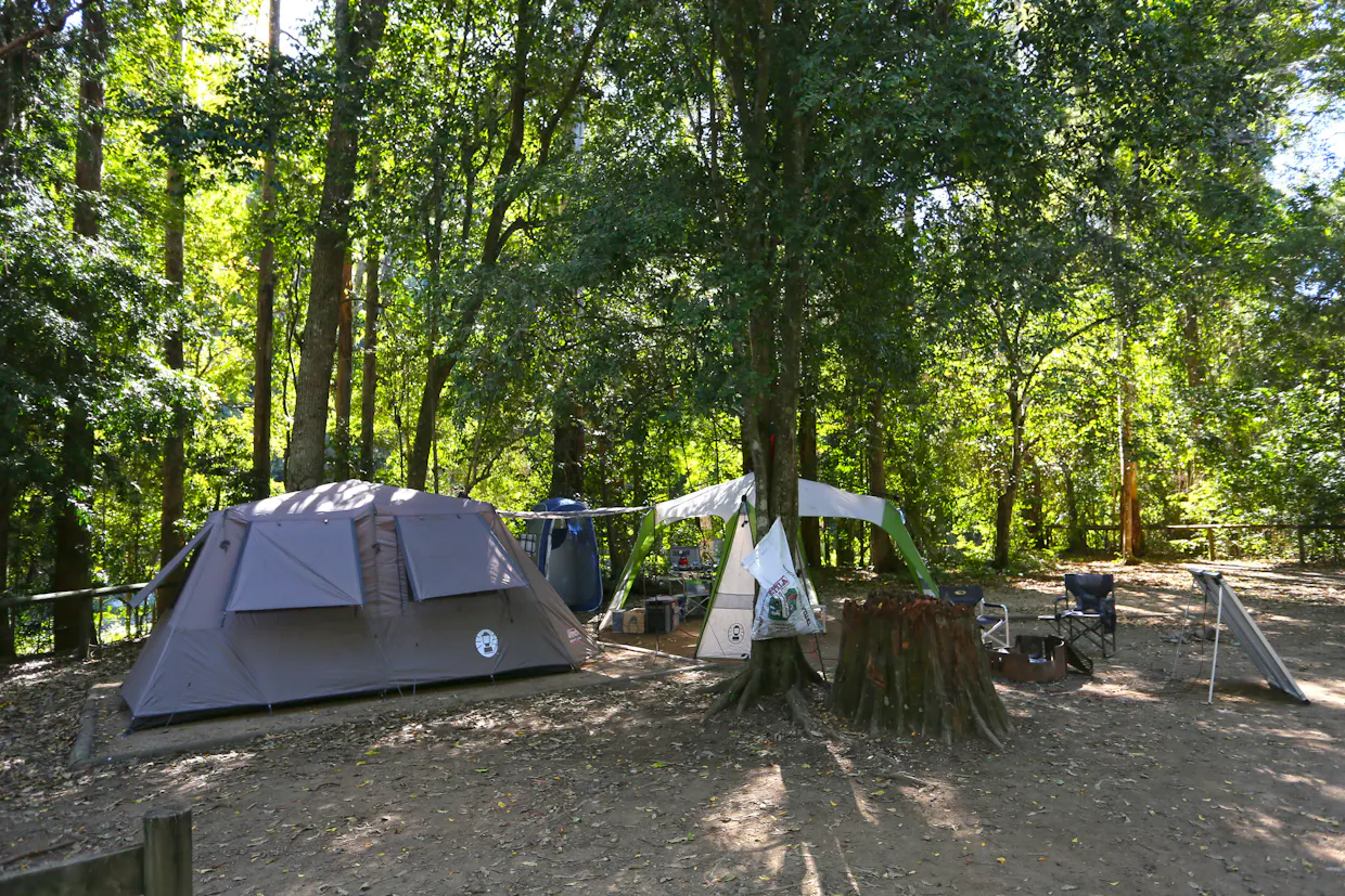 Conondale National Park
