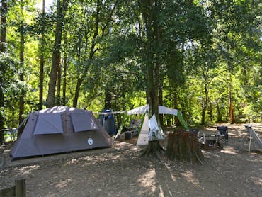 Tent and gazebo set up at camping area under shade of trees.