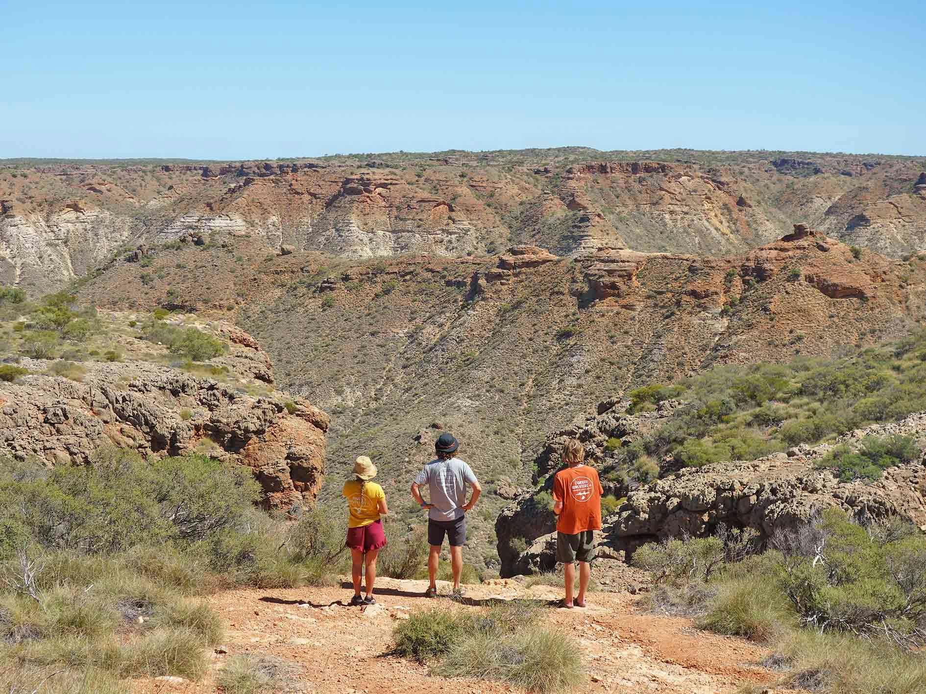 A group of people stand on the edge of a canyon enjoying the view