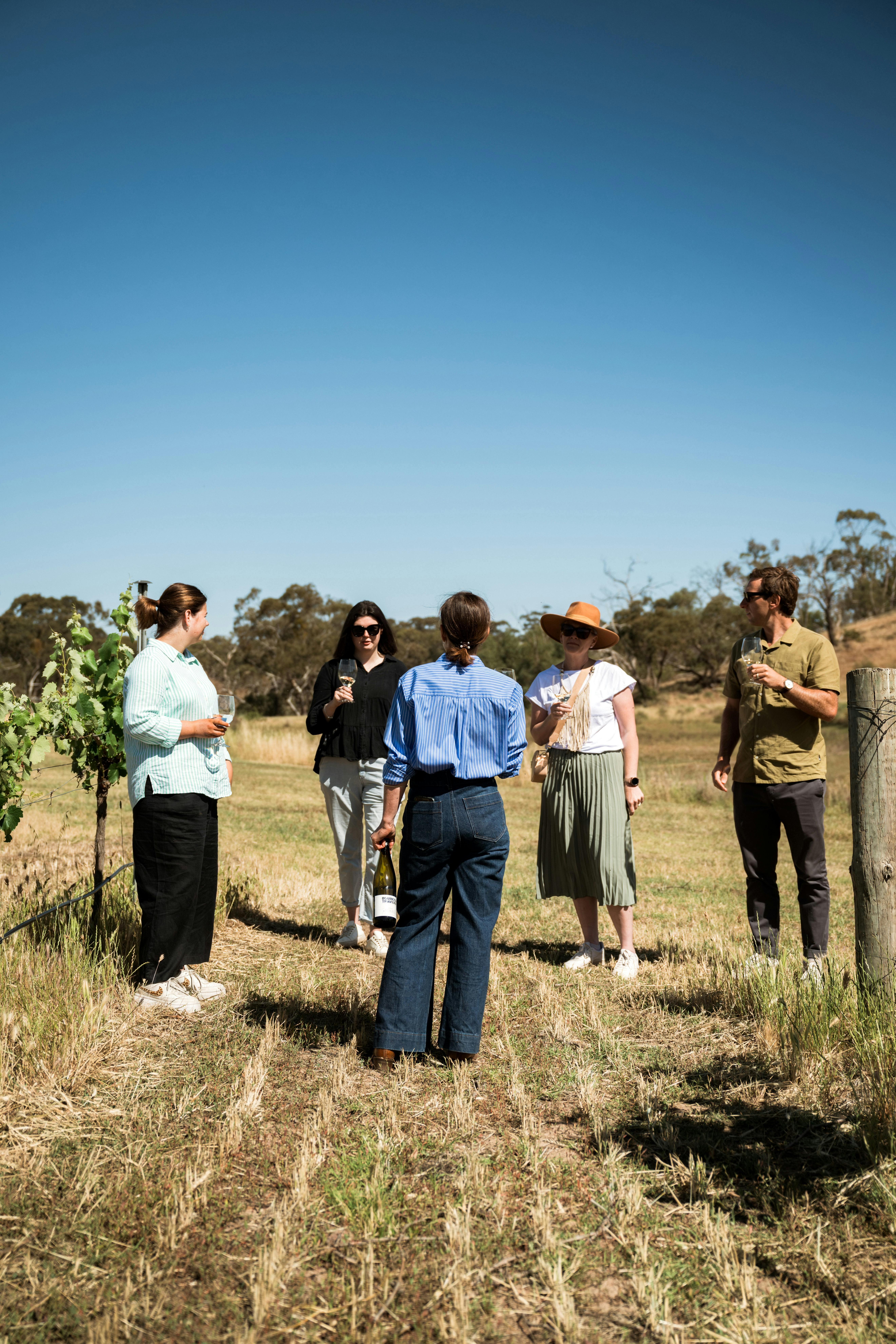 Gourmet Week 2025 | Terroir in the Vineyard