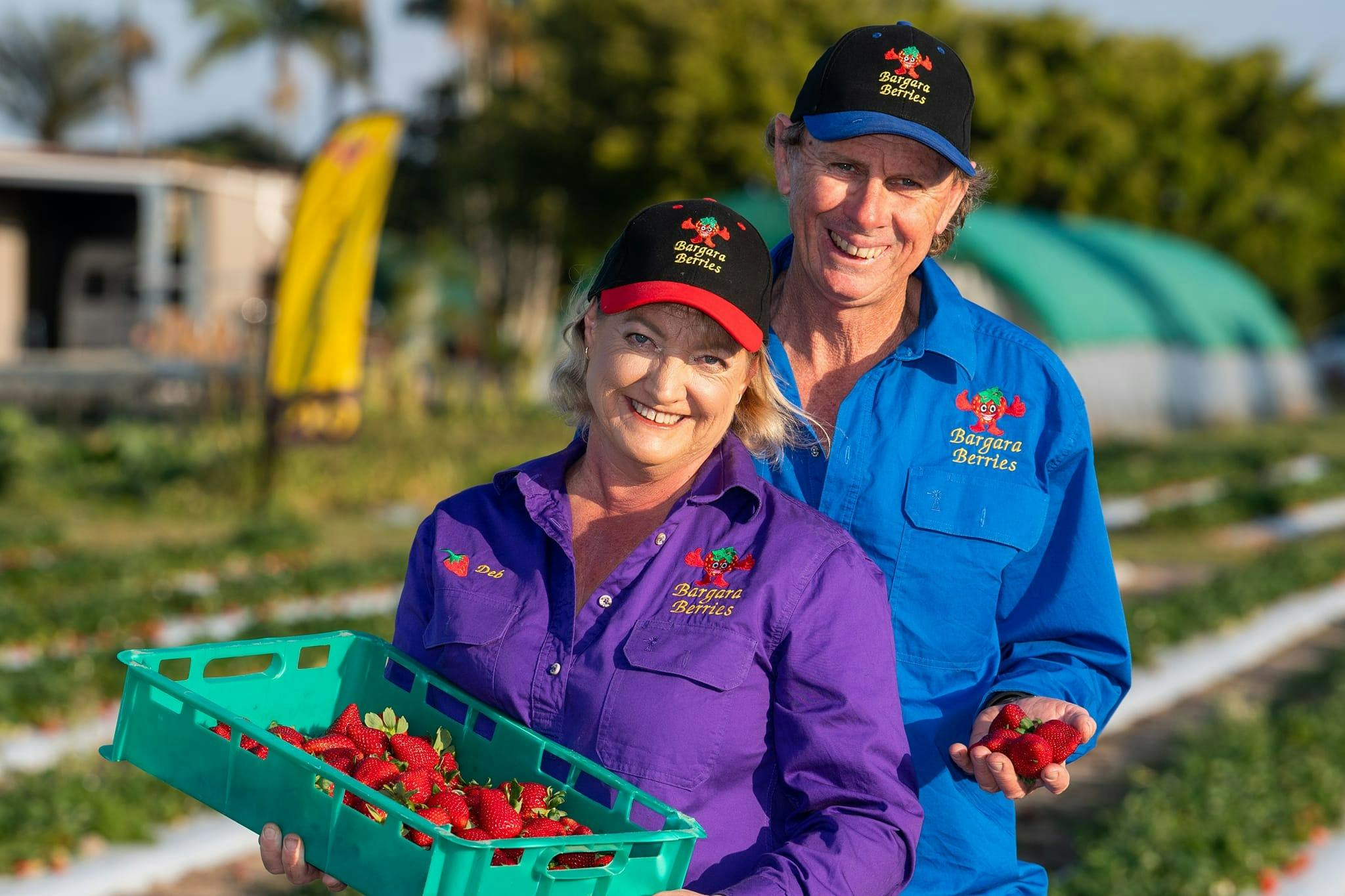 Strawberry Deb & Strawberry Mick