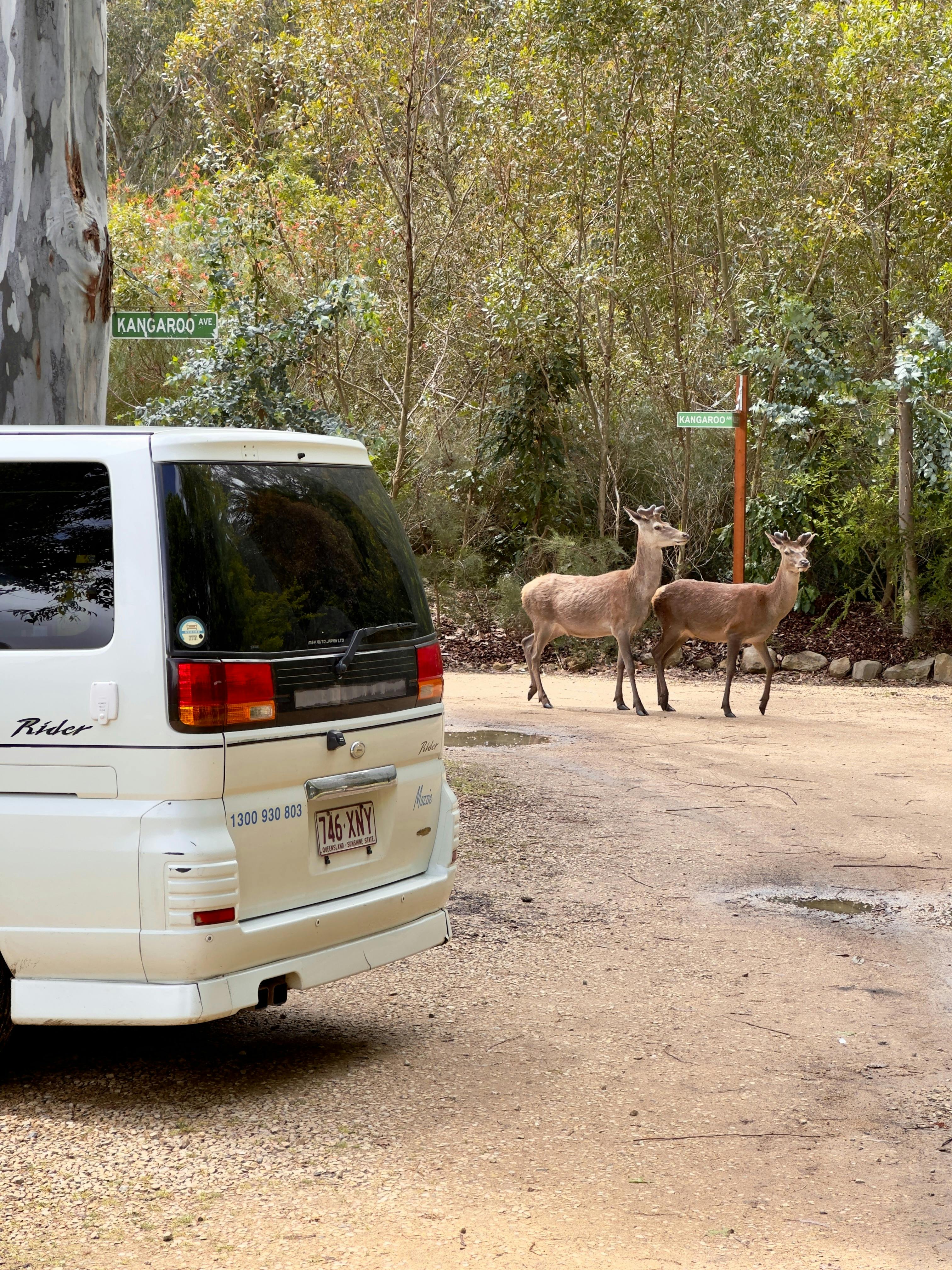 Awesome Van and Camper Hire Sydney Sydney, Australia Official