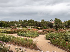 Mornington Botanical Rose Gardens