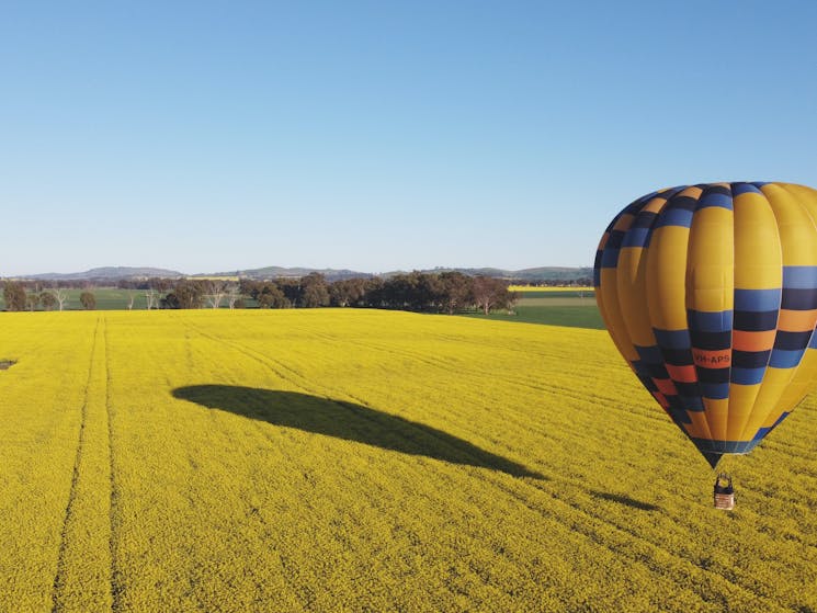 Balloon and shadow low over the canola