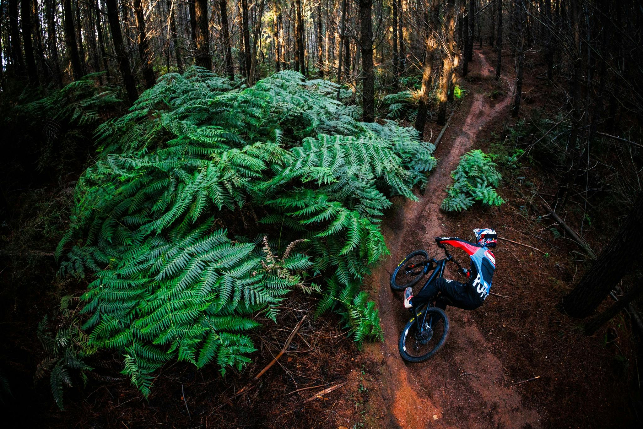 Riding at Mystic Bike Park in amongst pines
