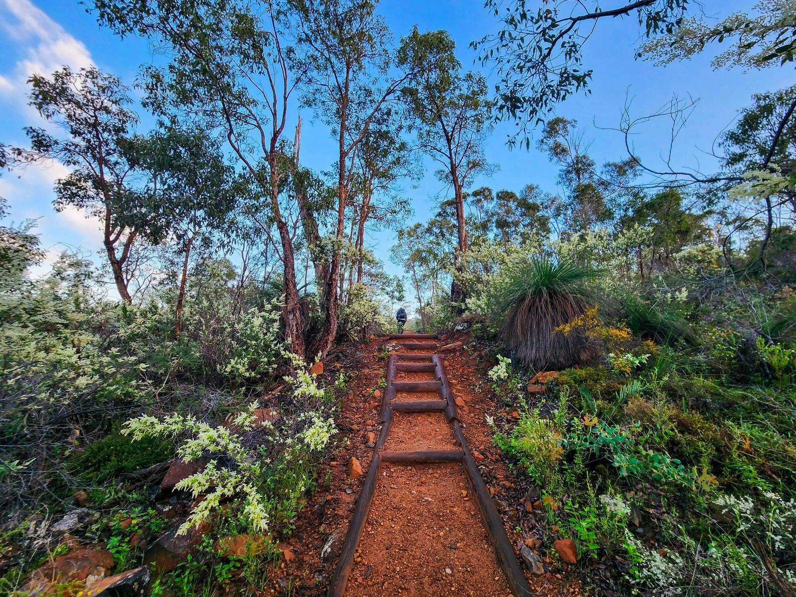 Little Eagle Walk Trail, John Forrest National Park
