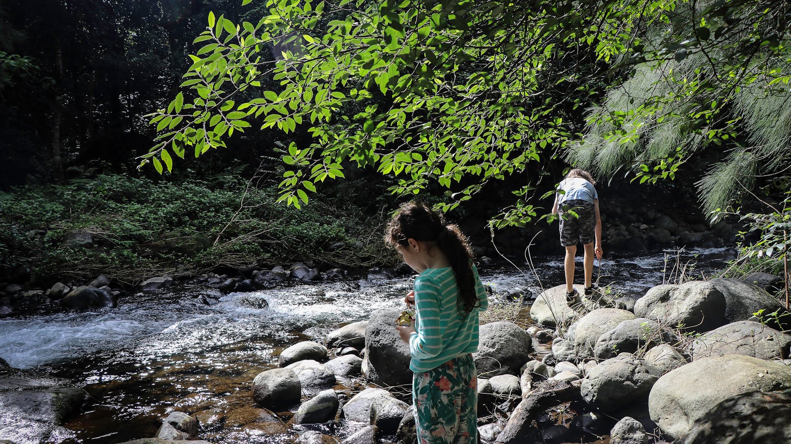 White Rock, Chichester State Forest (Allyn River)