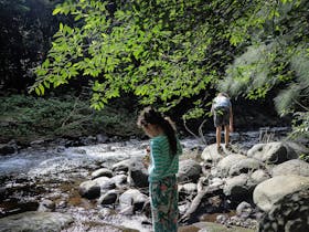 White Rock, Chichester State Forest (Allyn River)