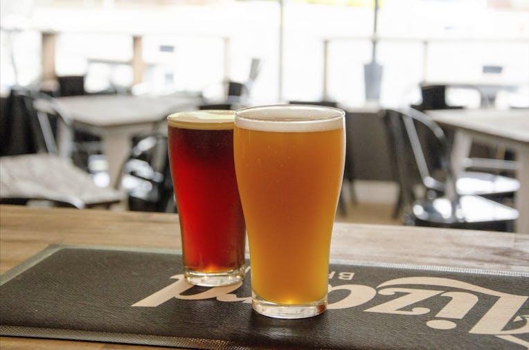 Shifty Lizard Brewing Co