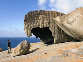 Adelaide Sightseeing - Kangaroo Island