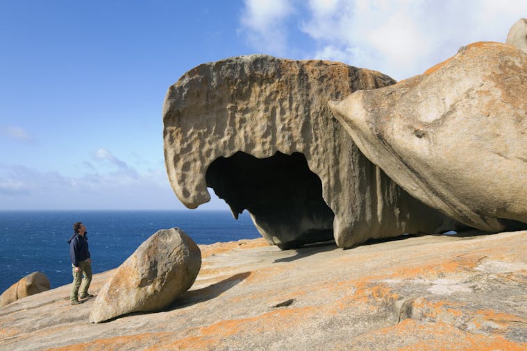One Day Kangaroo Island Experience