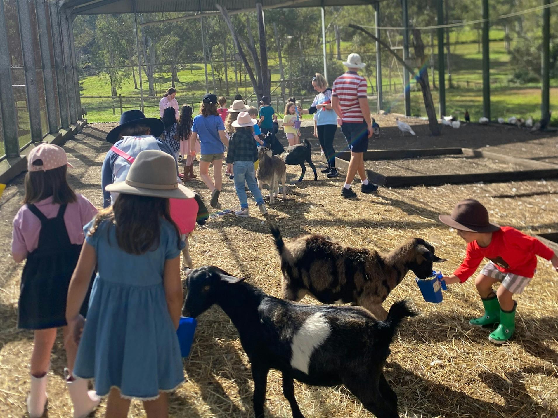 Moggill Sunday Farm Day