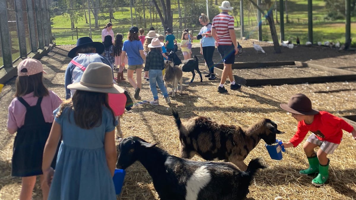 kids feeding baby animals