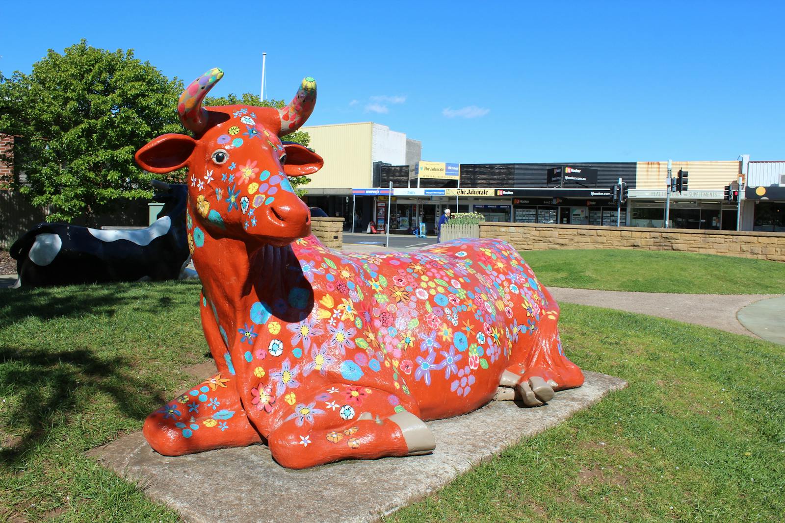 Civic Park, Wynyard