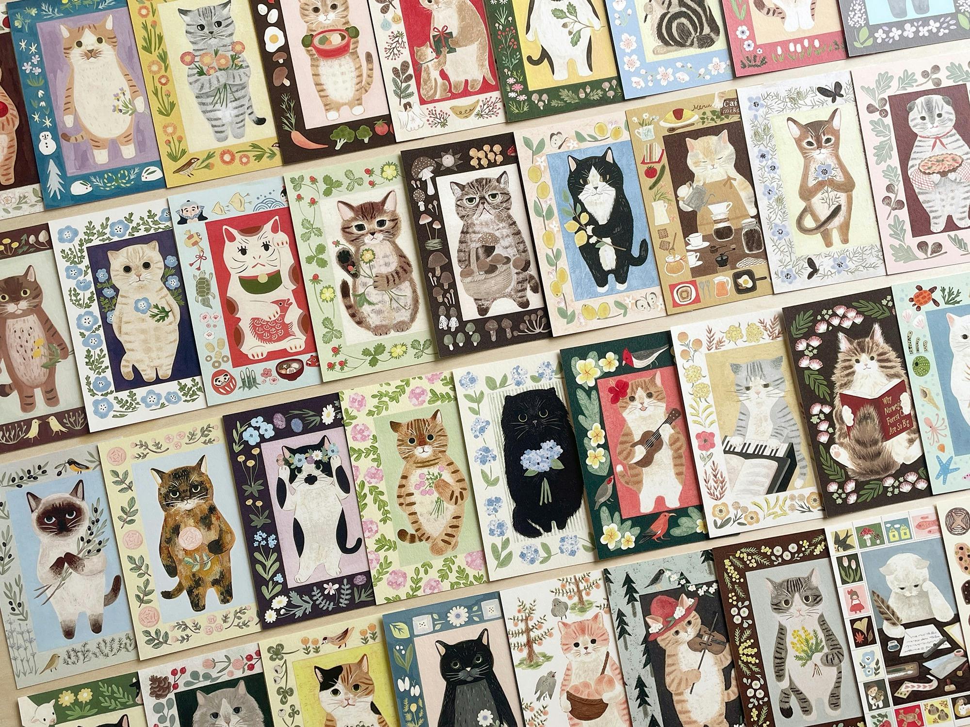 Come and pick your favourite one :)