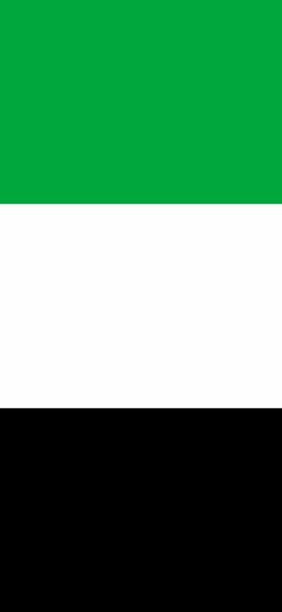 Flag of the United Arab Emirates