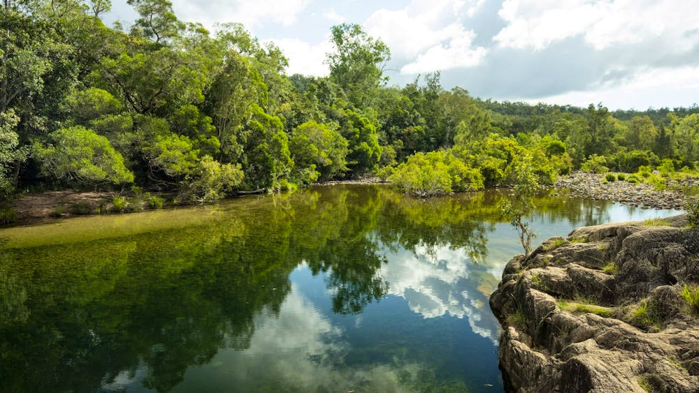 Mount Spec, Paluma Range National Park