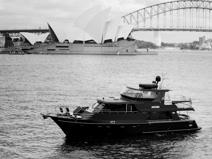 BW Antares cruising into Farm Cove with Opera House in the background