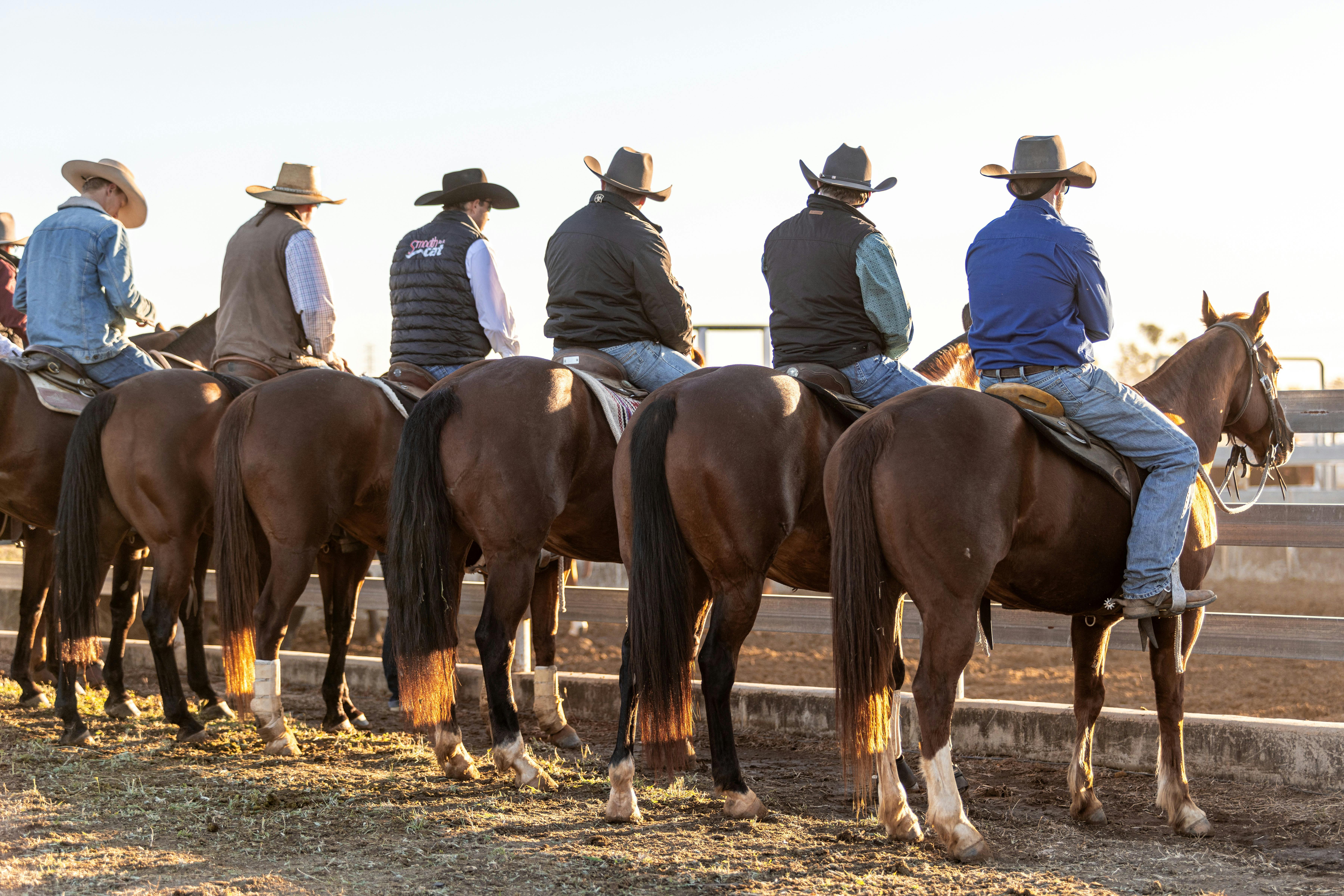 CQ Performance Horse Sale & Campdraft