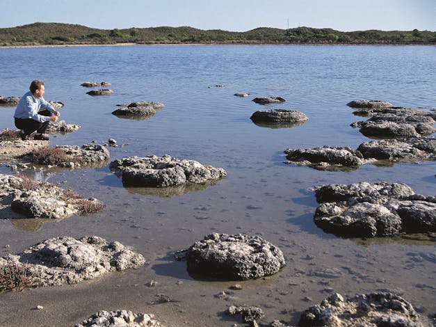 Lake Thetis Thrombolites