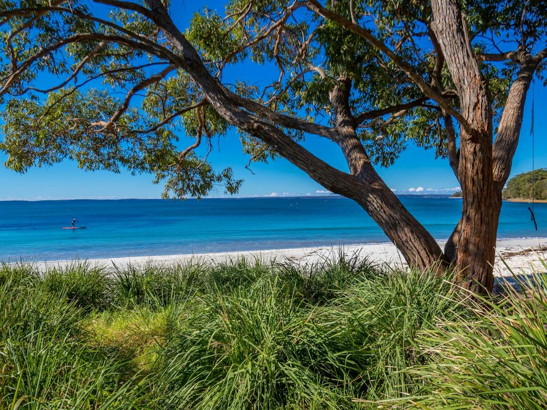 Collingwood Beach