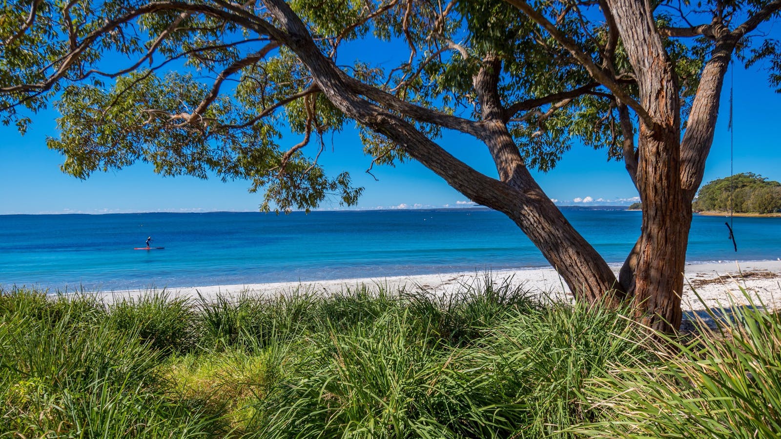 Collingwood Beach