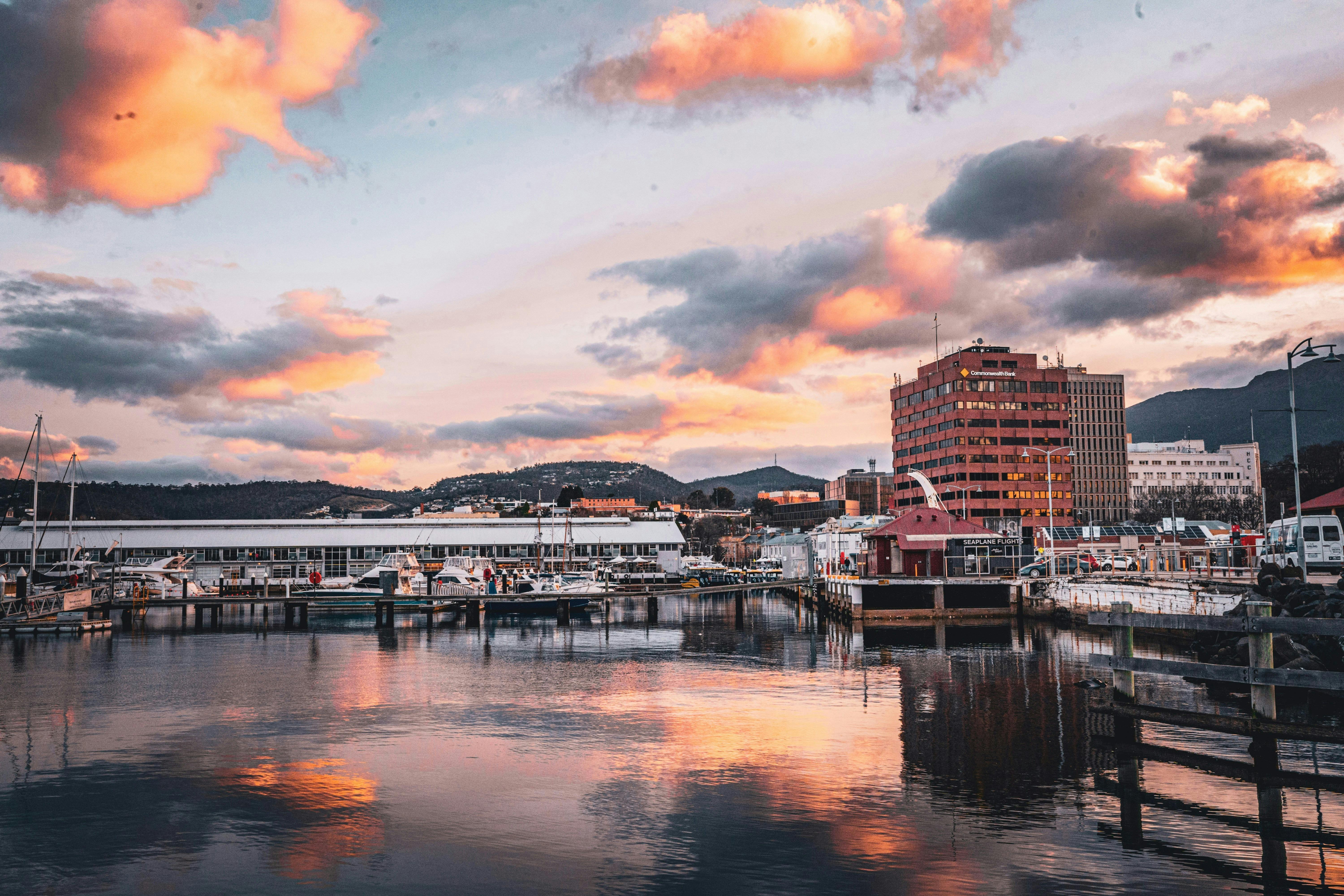 Odoo Business Show Hobart