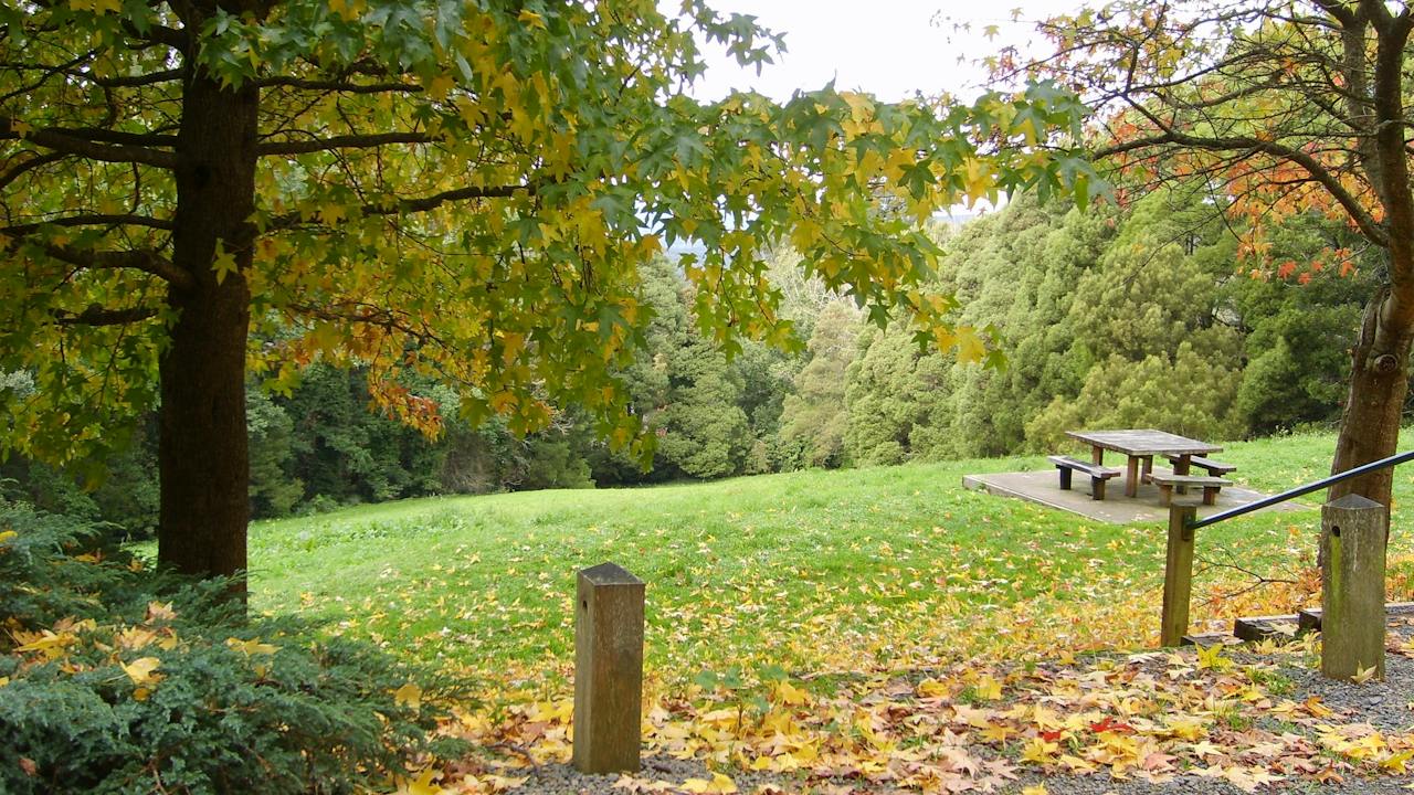 Mount Dandenong Arboretum