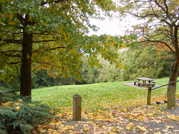 Mount Dandenong Arboretum